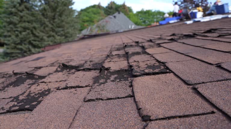 Best Flat Roofing  in Atlantic City, NJ